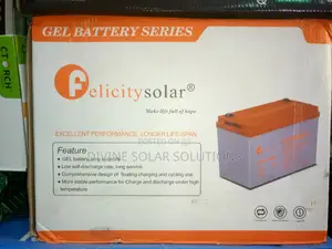 Photo - Felicity Gel Battery 100ah