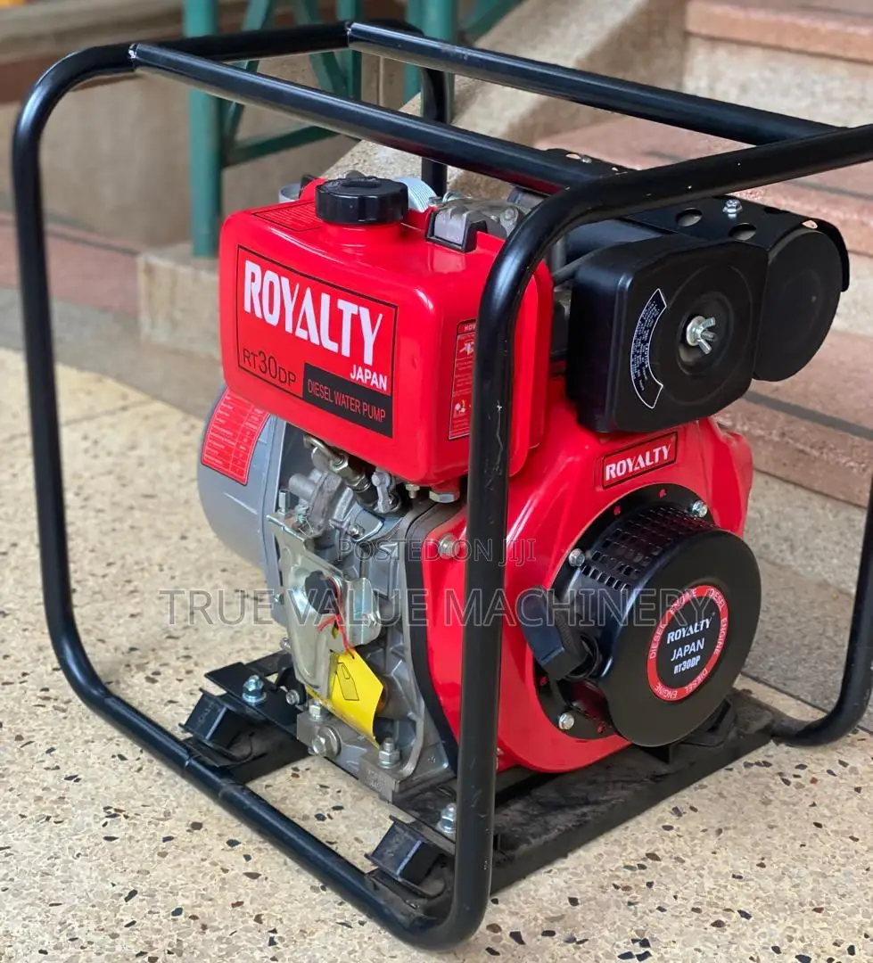 Royalty Japan Water Pump