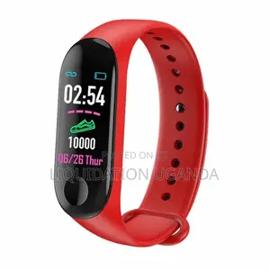 Photo - Smart Bracelet at