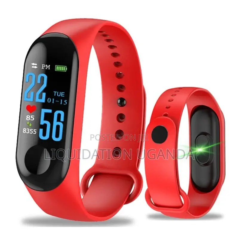 Smart Bracelet at