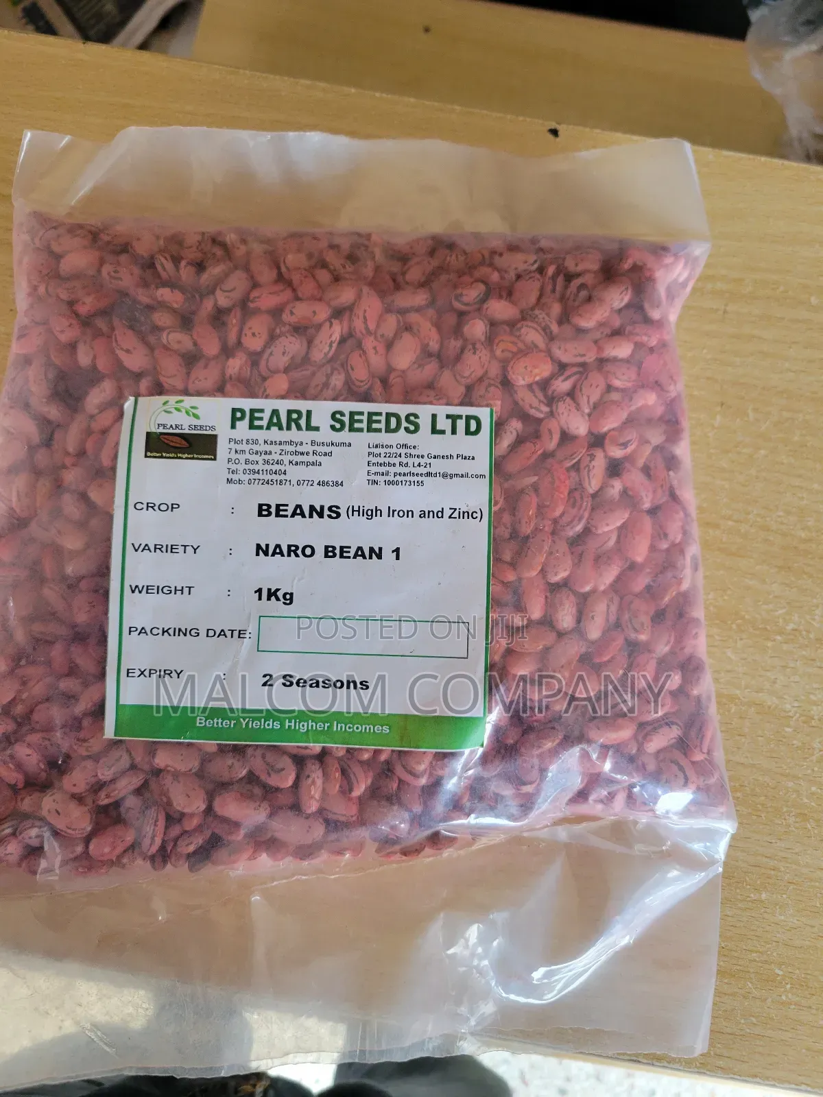 Bean Seeds Masavu