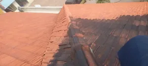 Roof Tile Cleaning Services