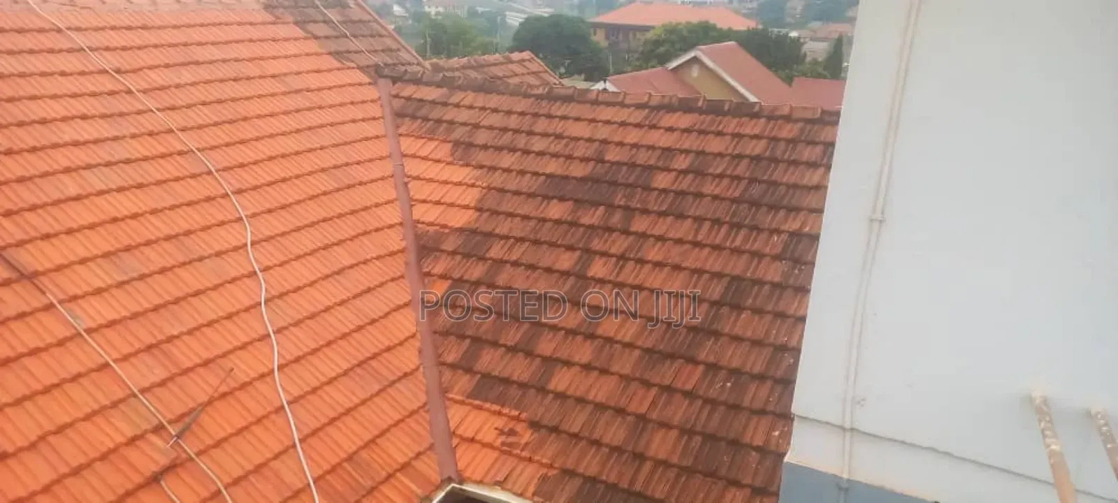 Roof Tile Cleaning Services