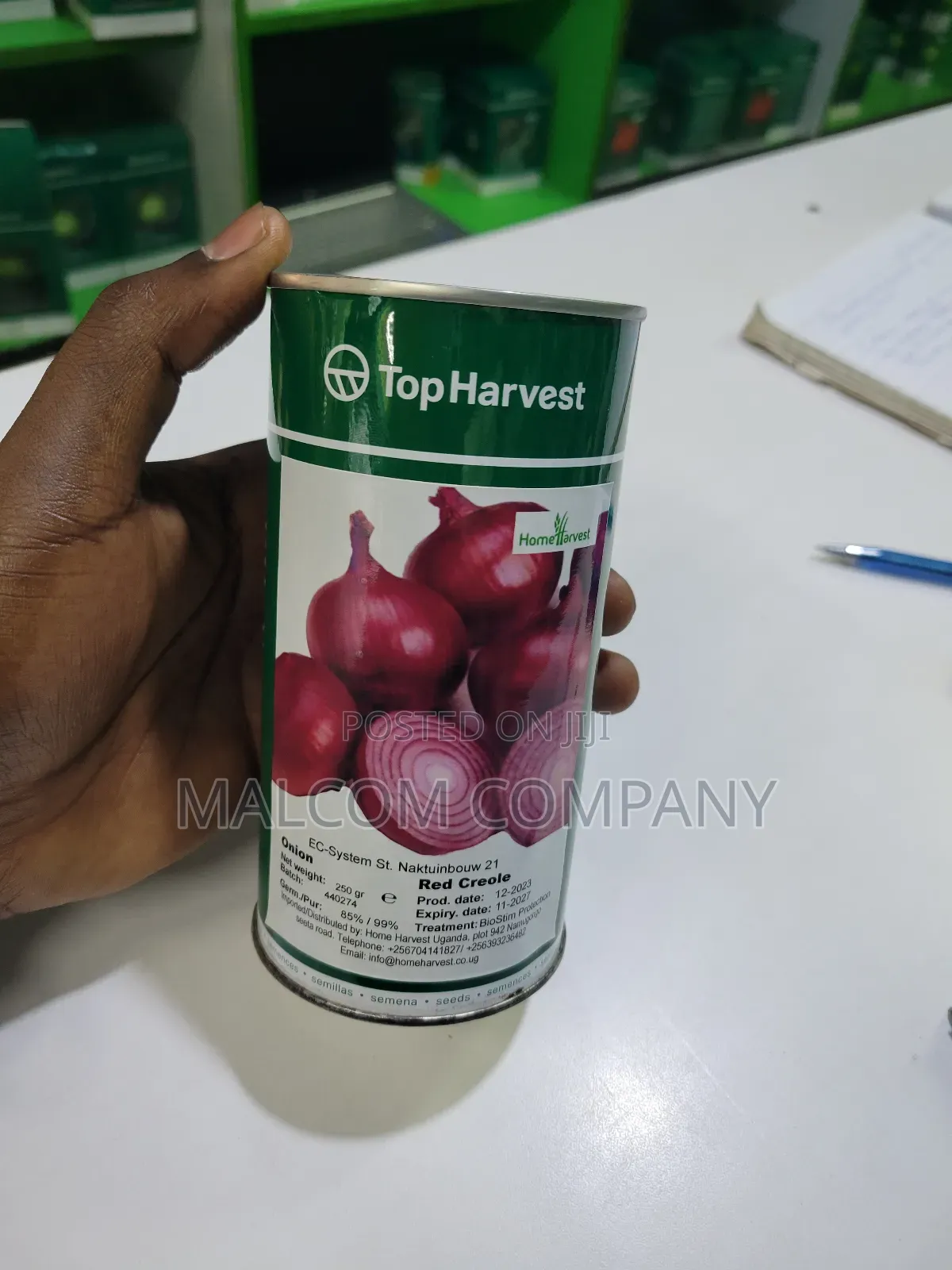 Red Creoles Onion Seeds- 250g(1 Acre Requires 1kg)