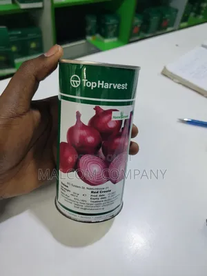 Red Creoles Onion Seeds- 250g(1 Acre Requires 1kg)