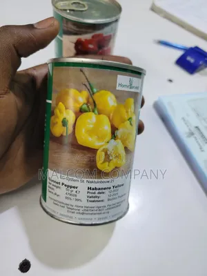 Bonnet Pepper Yellow 50g For 1⁄2 An Acre.