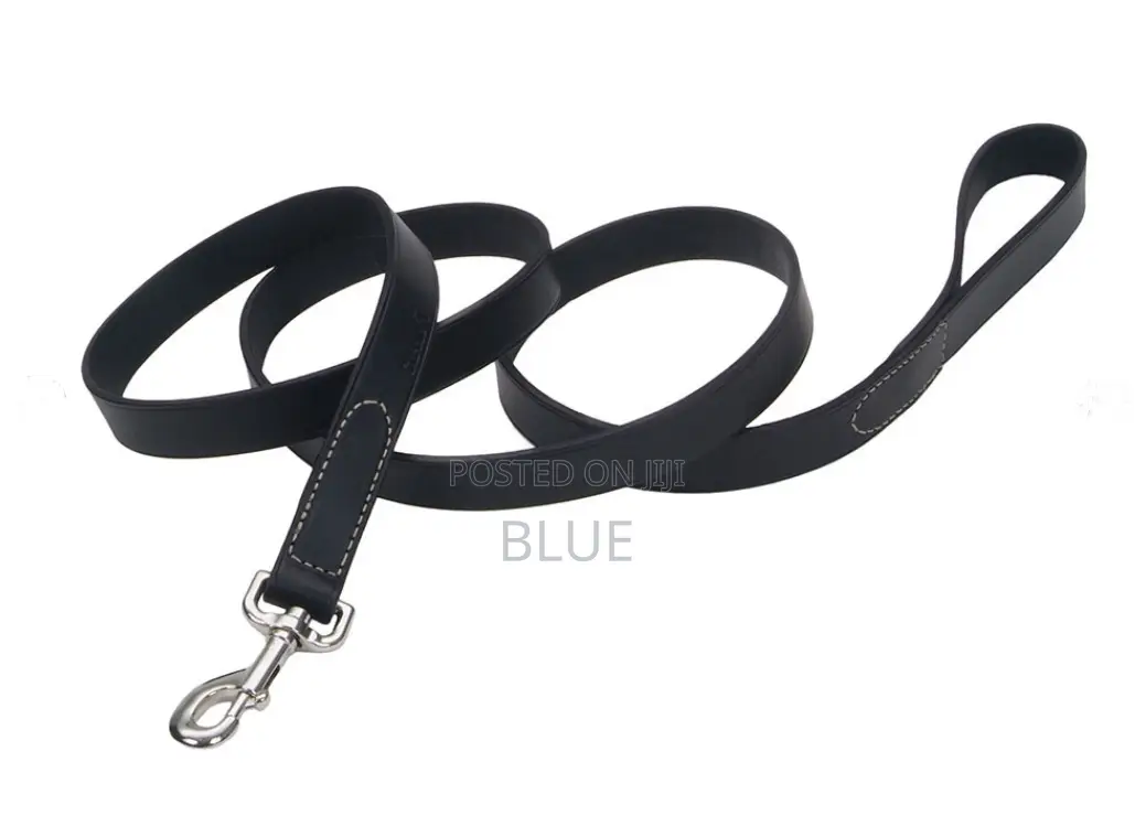 Circle T Leather Dog Leash