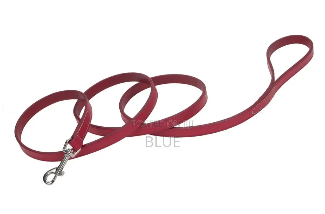 Circle T Leather Dog Leash