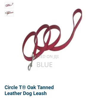 Circle T Leather Dog Leash