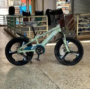 Original Kids Bicycle