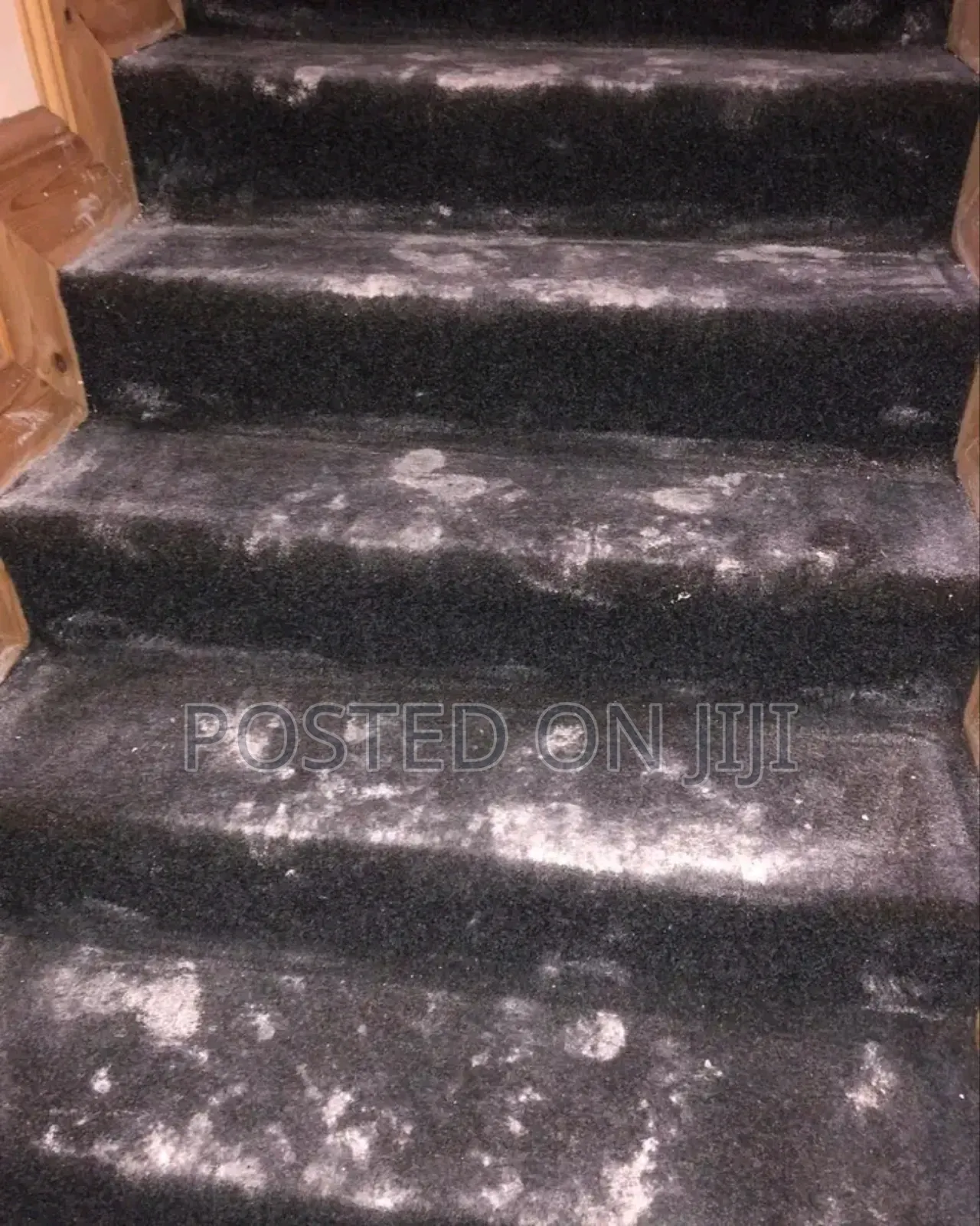 Carpet Cleaning Services