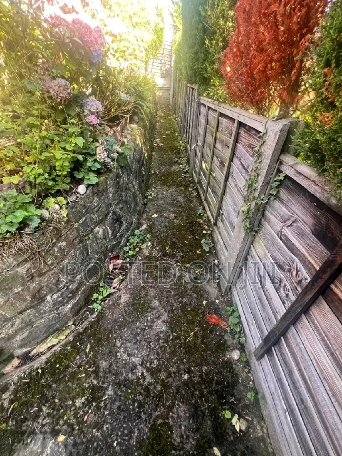 Compound Cleaning Services