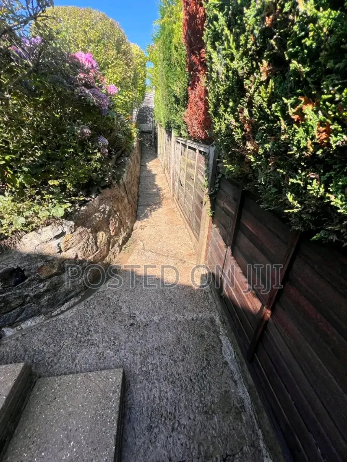 Compound Cleaning Services