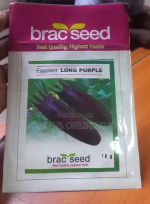 Photo - Long Purple Egg Plant ( Biringanya)