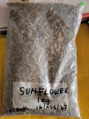 Sun Flower Seeds 1kg