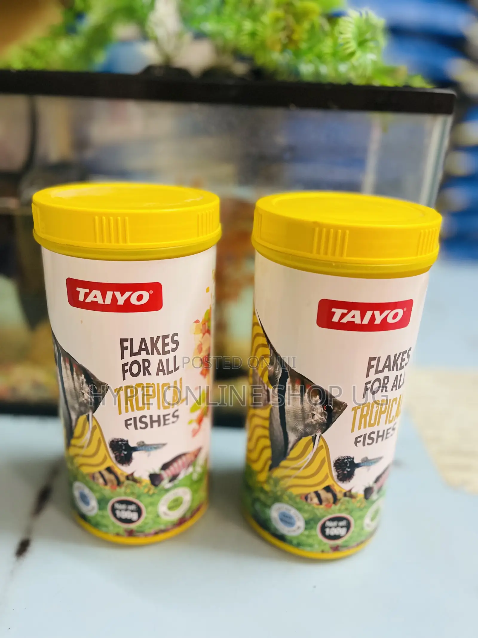 Multi Proteins Fish Food