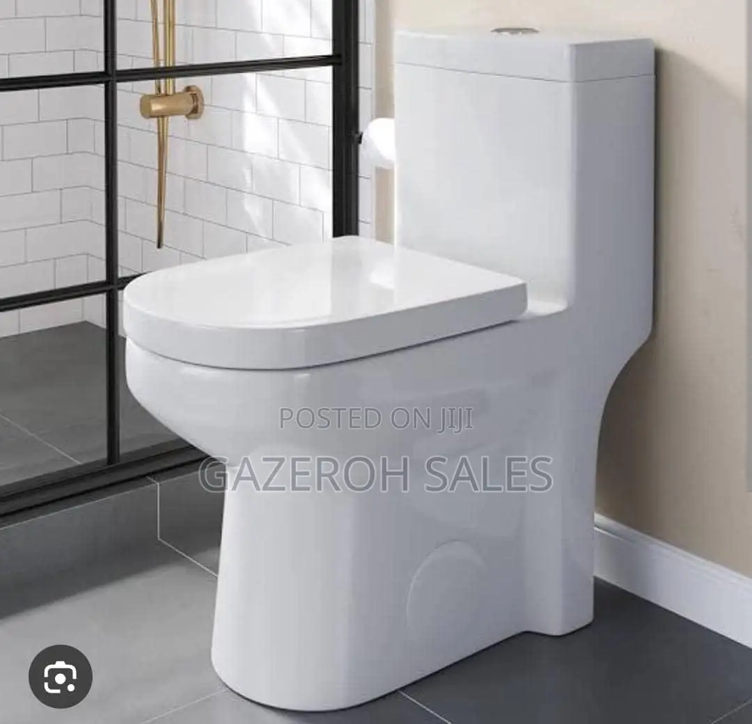 Frencia Combined Toilet Complete