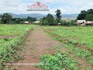 Prime Plots for Sale at Kavule~Lungala Estate~Masaka Road IV