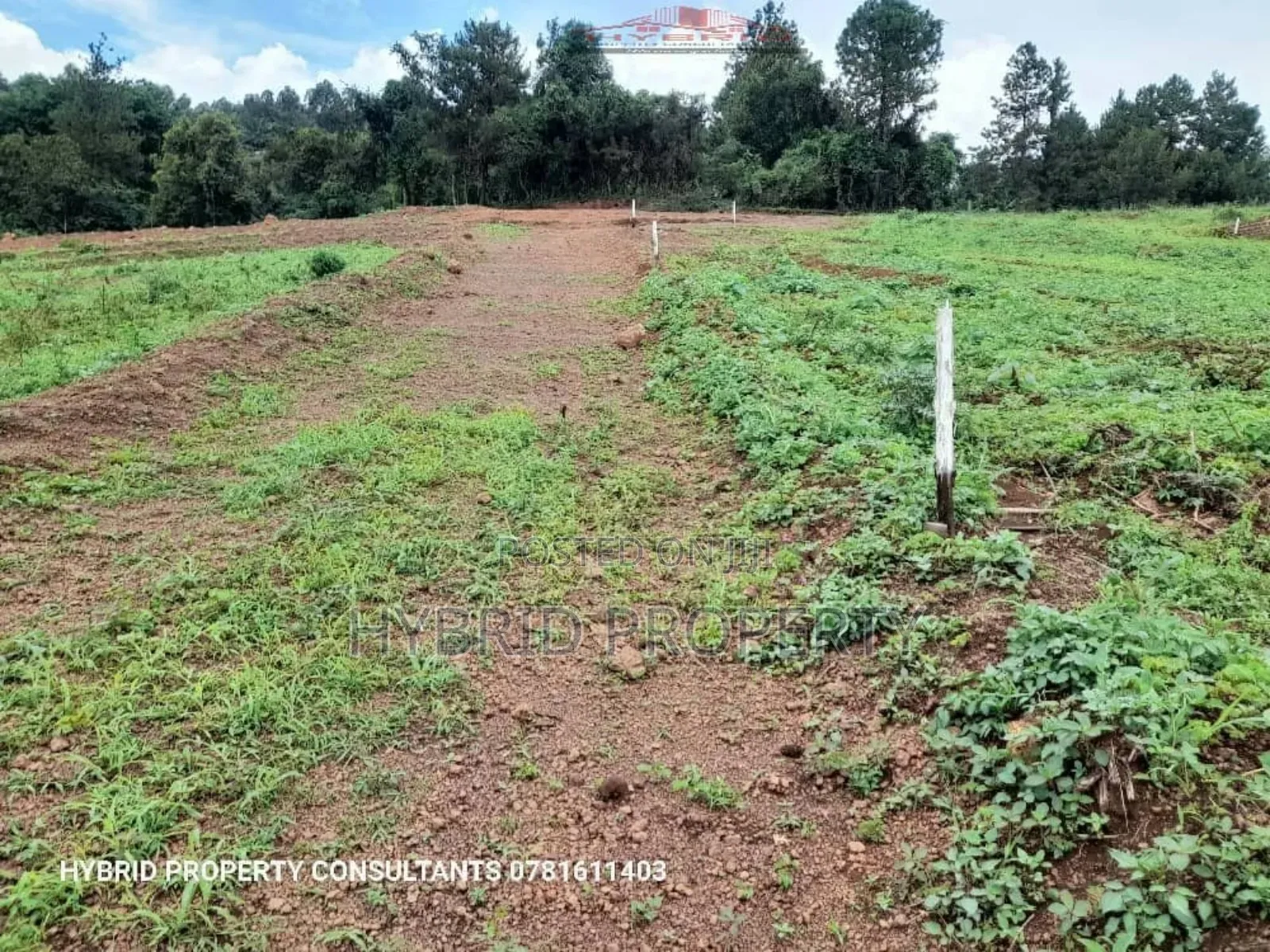 Prime Plots for Sale at Kavule~Lungala Estate~Masaka Road IV