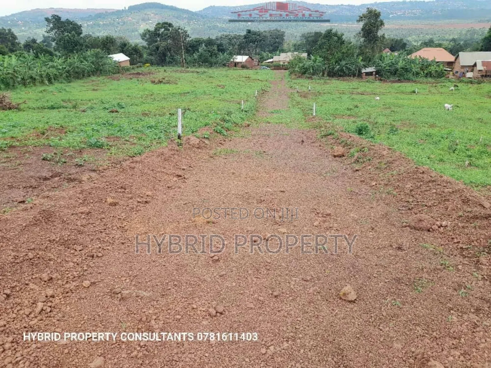 Prime Plots for Sale at Kavule~Lungala Estate~Masaka Road IV