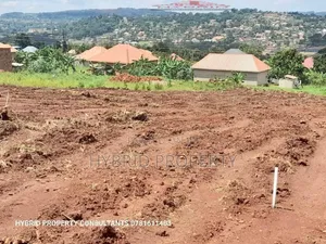 Prime Plots for Sale in Nakirebe Town Land Estate~Masaka Rd.
