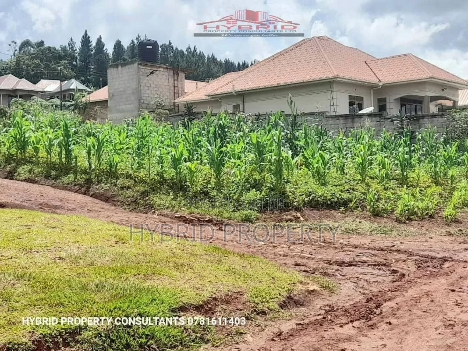 Prime Plots for Sale in Nakirebe Town Land Estate~Masaka Rd.