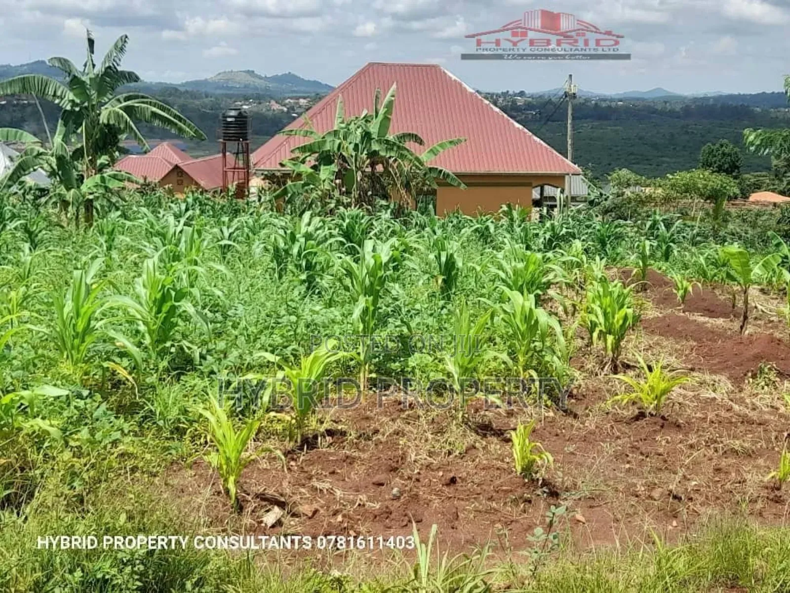 Prime Plots for Sale in Nakirebe Town Land Estate~Masaka Rd.