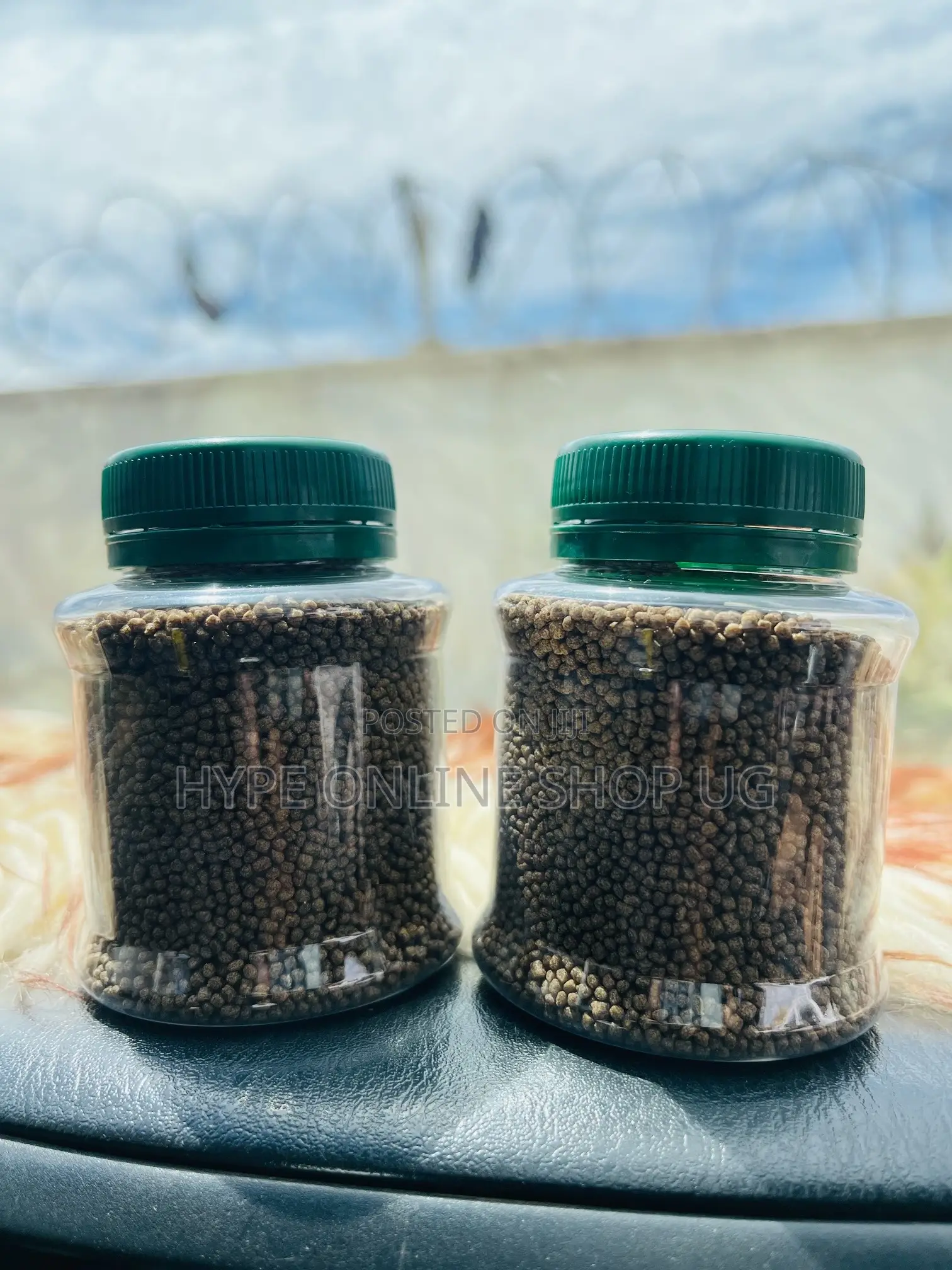 Immune System Booster Fish Feeds