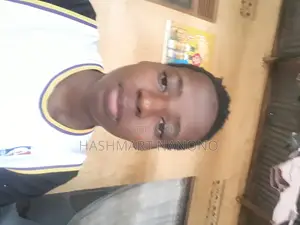 Housekeeping Cleaning CV