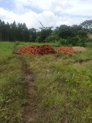 Plots on Sale ,Am the Seller, Am the Final Man!