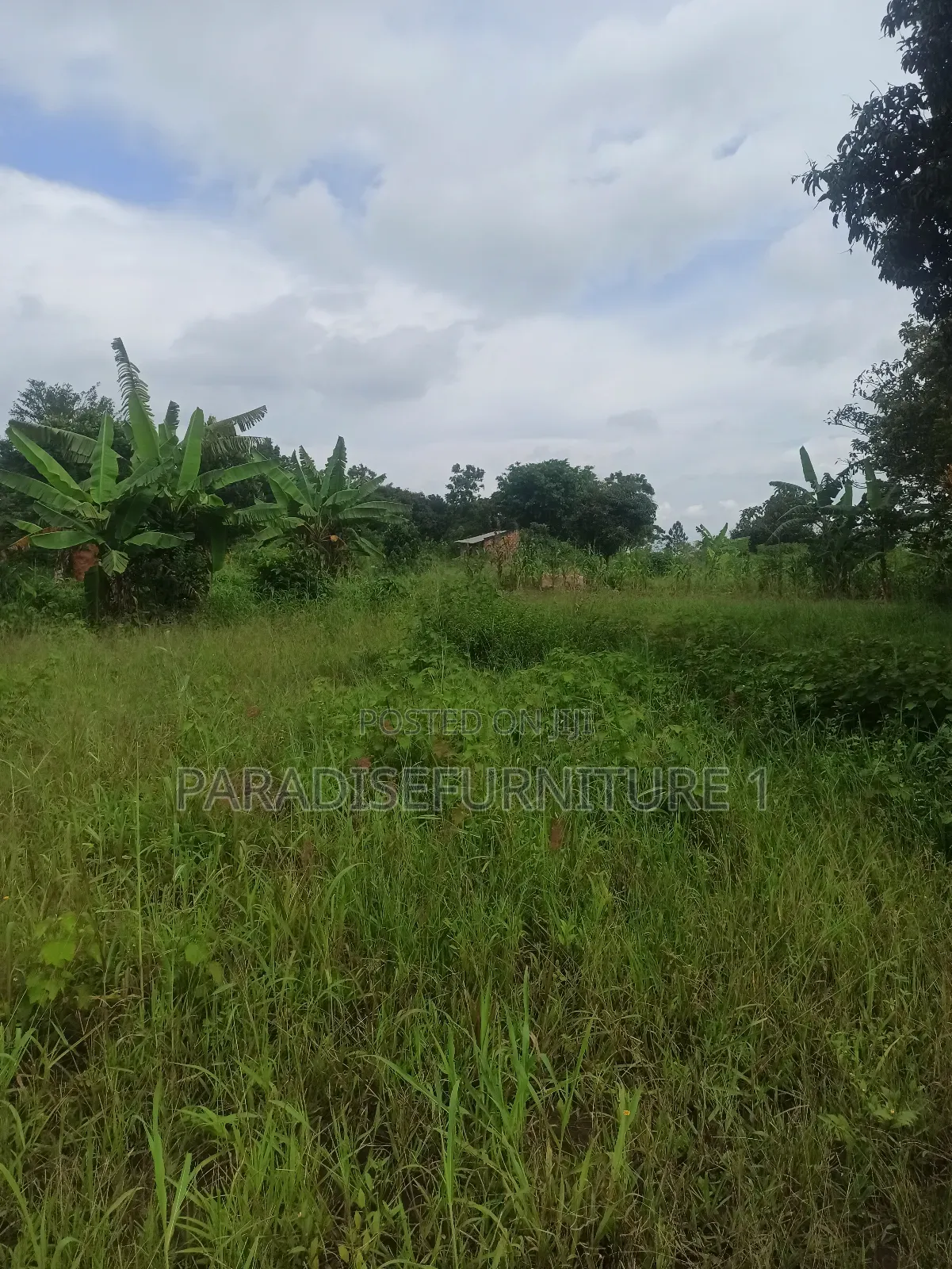 Plots on Sale ,Am the Seller, Am the Final Man!