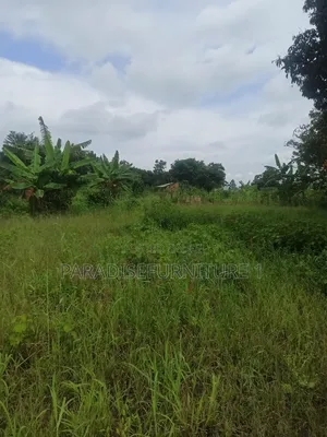 Plots on Sale ,Am the Seller, Am the Final Man!