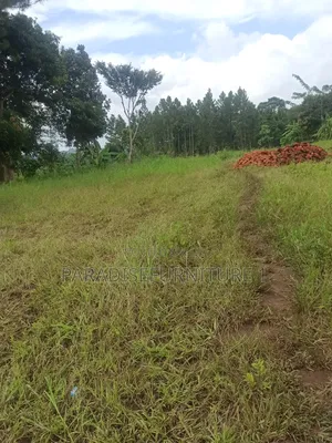 Plots on Sale ,Am the Seller, Am the Final Man!