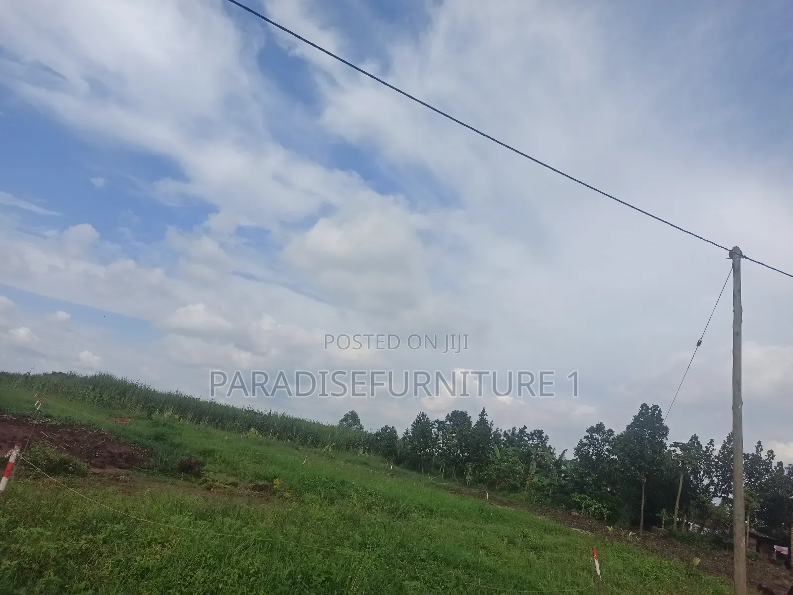 Plots on Sale by Myself ,Am the Owner 2311402