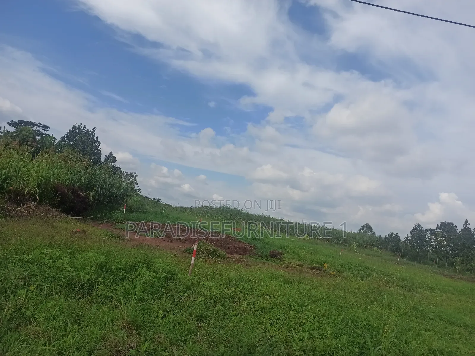 Plots on Sale by Myself ,Am the Owner 2311402