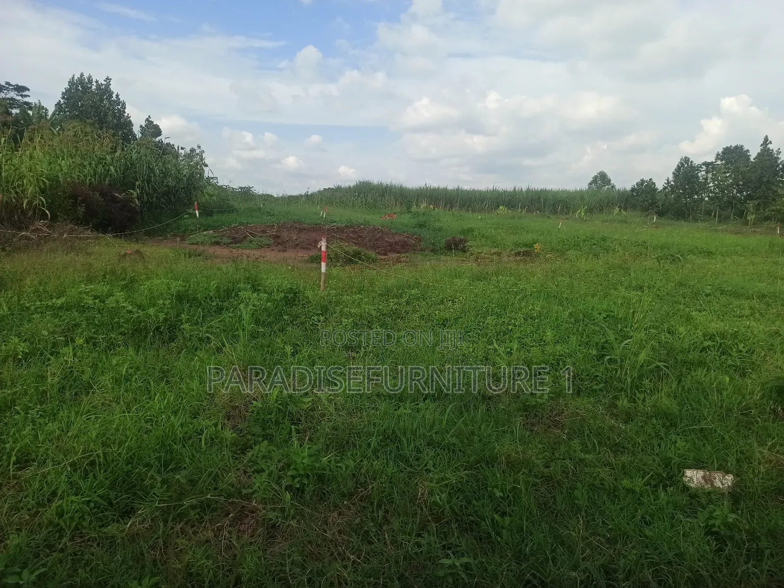 Plots on Sale by Myself ,Am the Owner 2311402