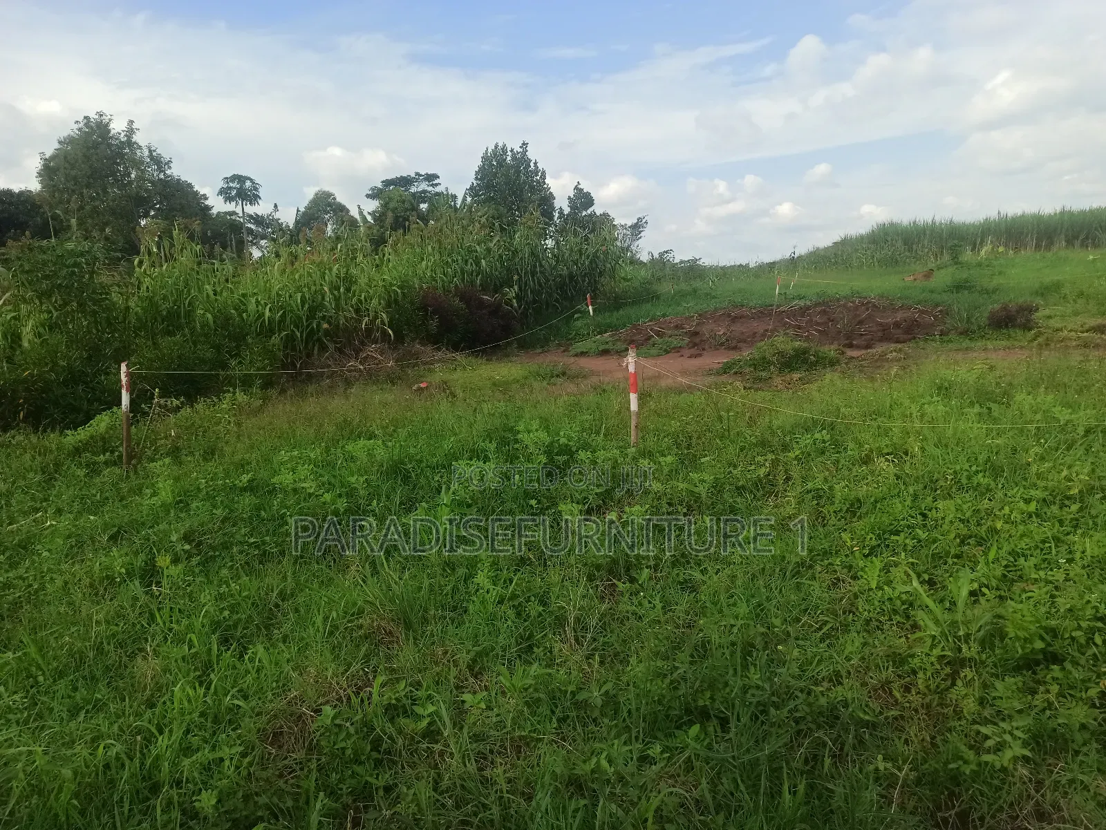 Plots on Sale by Myself ,Am the Owner 2311402