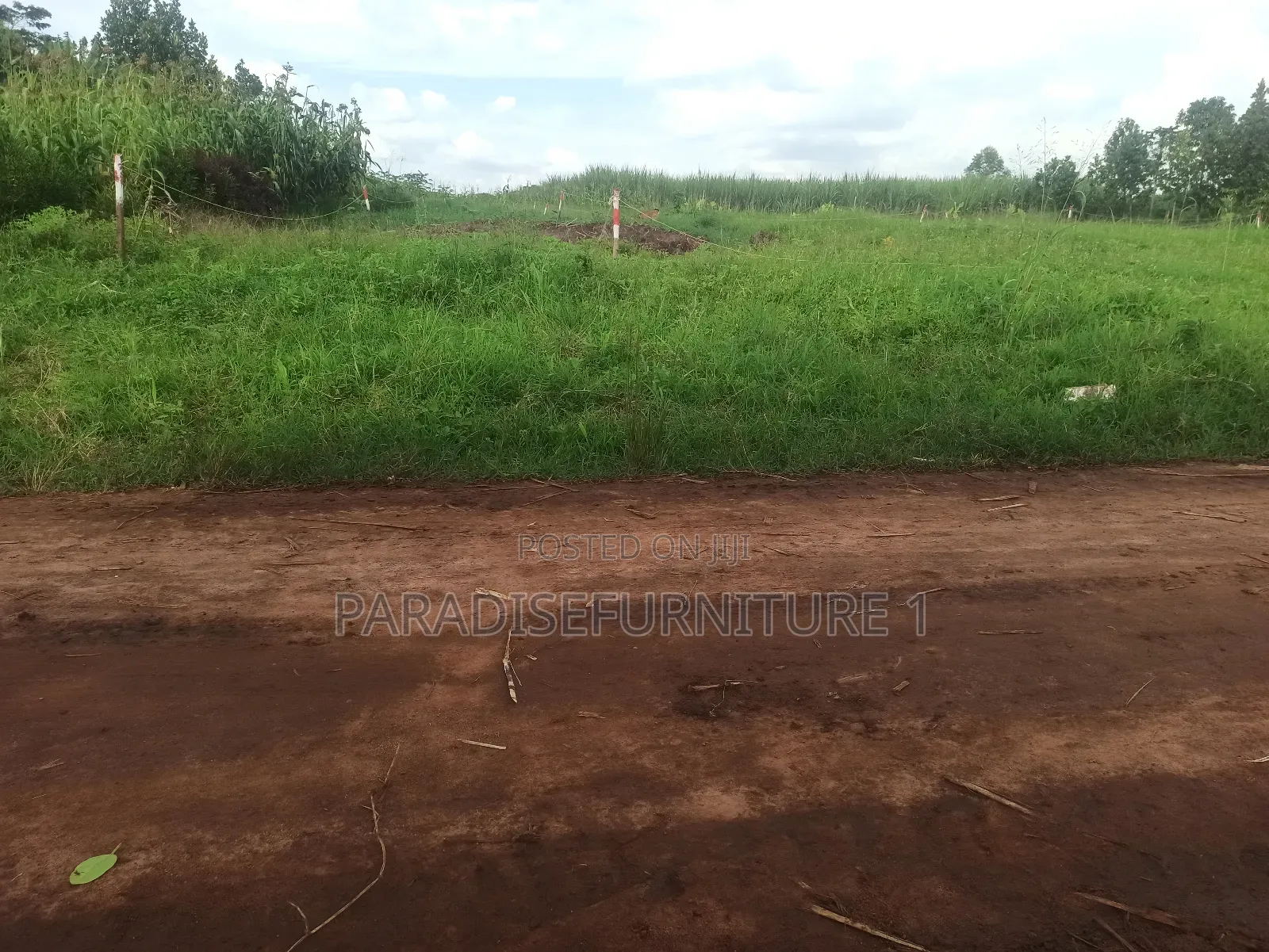 Plots on Sale by Myself ,Am the Owner 2311402