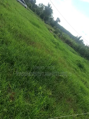 Plots on Quick Sale, by My Self and Am the Owner