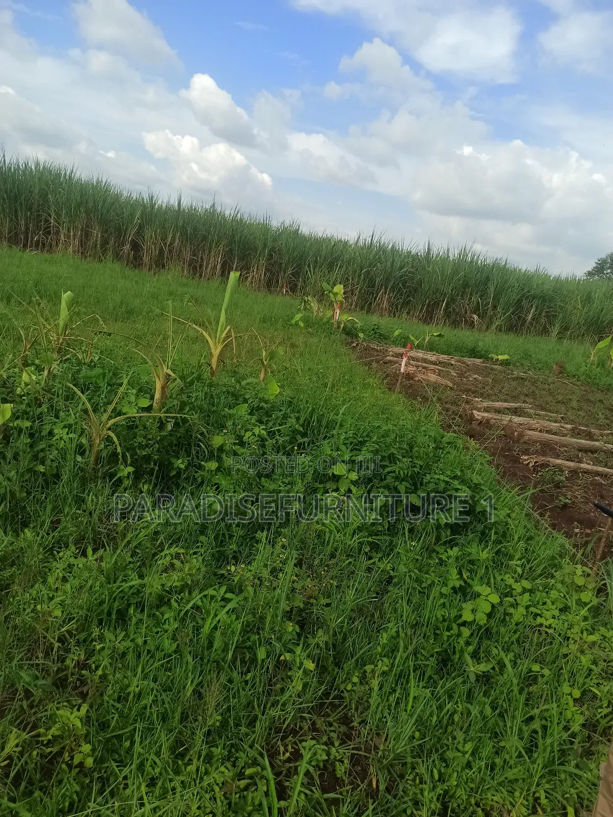 Plots on Quick Sale, by My Self and Am the Owner