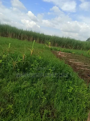 Plots on Quick Sale, by My Self and Am the Owner