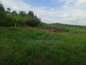 Plots on Quick Sale, by My Self and Am the Owner