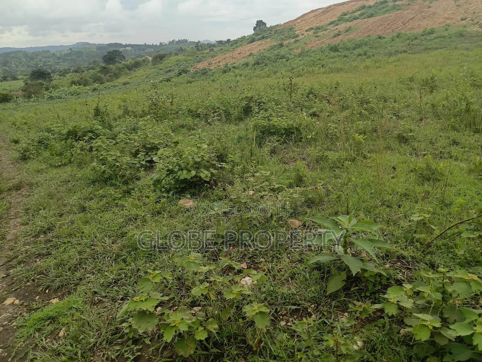 50x100 Plot for Sale in Nakasajja