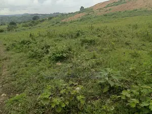 50x100 Plot for Sale in Nakasajja