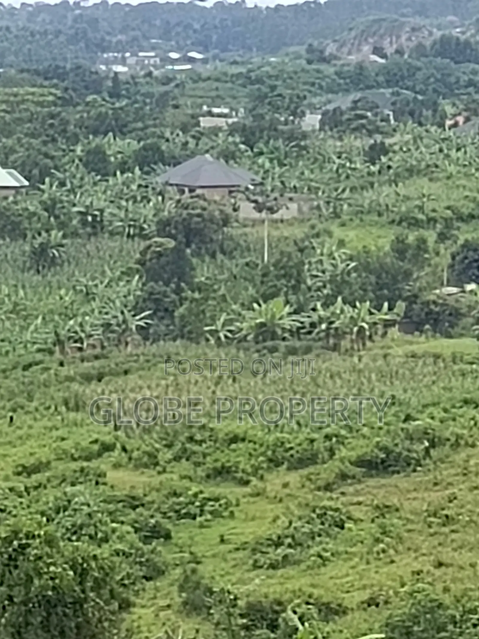 25 Decimal Plots for Sale in Nakasajja for Sale