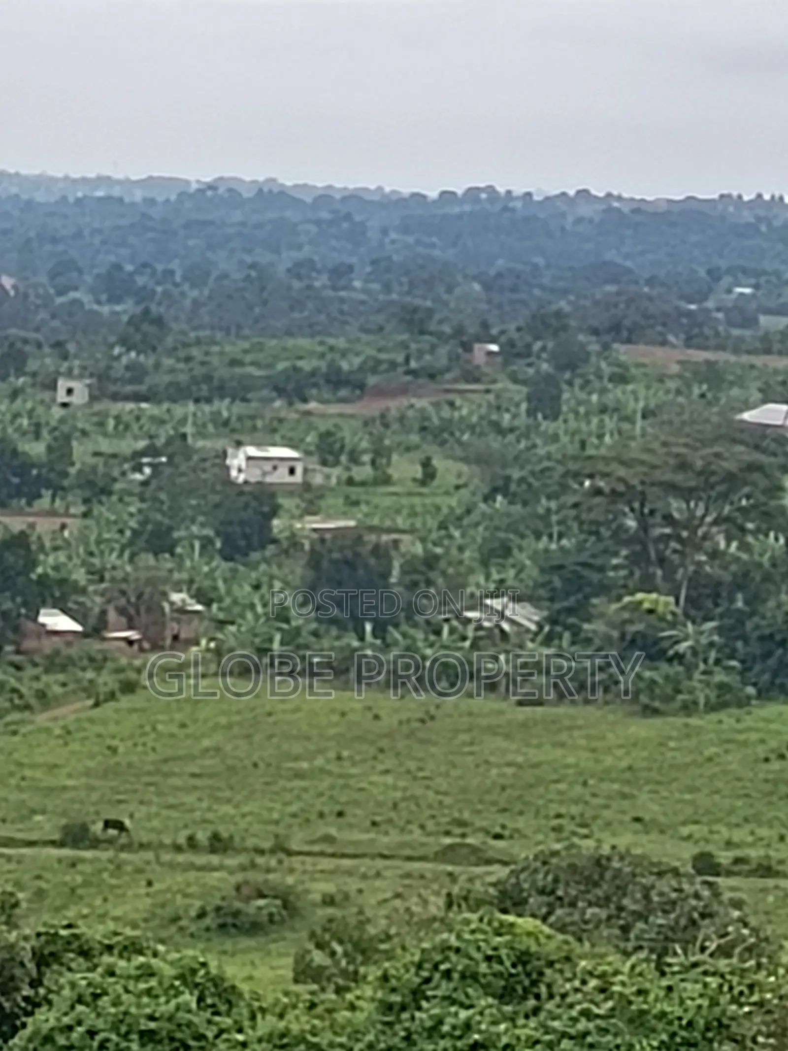 25 Decimal Plots for Sale in Nakasajja for Sale