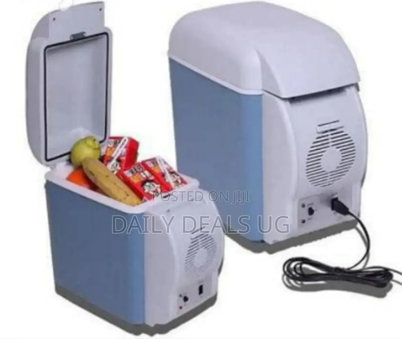 Mini Car Fridge