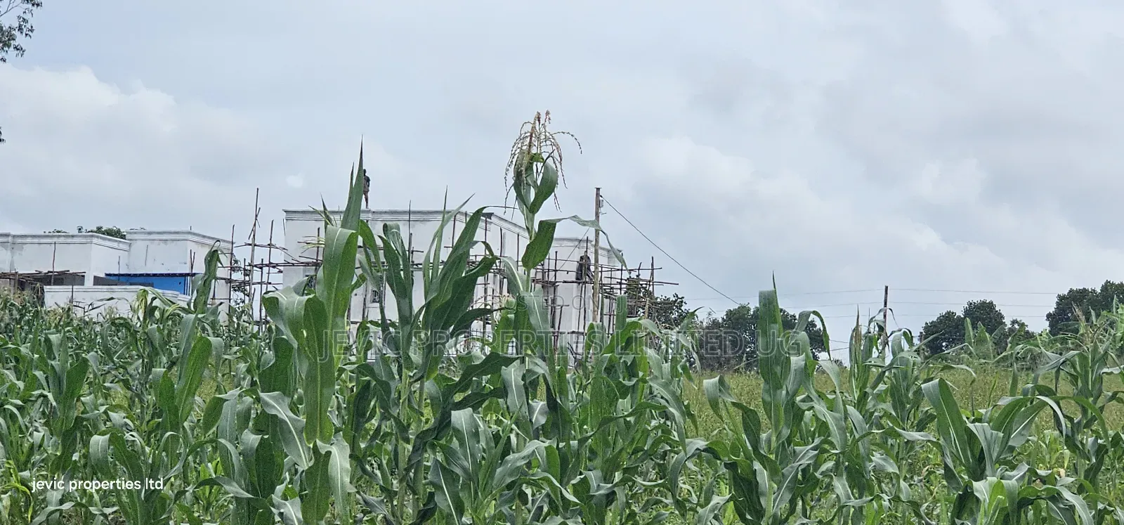 Wakiso - Namayumba Plots for Sale 100 MTRS Off Tarmac