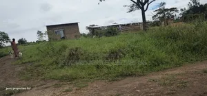 Wakiso - Namayumba Plots for Sale 100 MTRS Off Tarmac