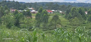 Wakiso - Namayumba Plots for Sale 100 MTRS Off Tarmac
